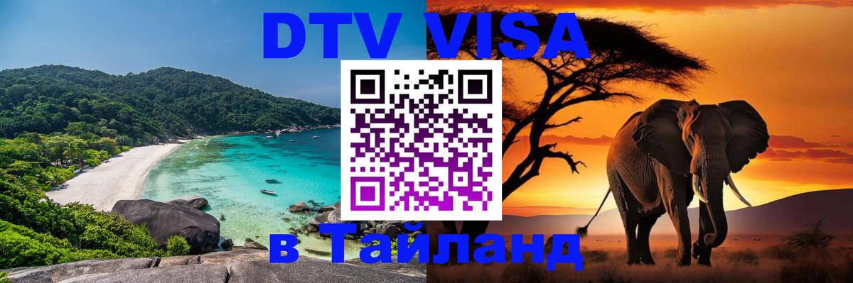 Сколько стоит DTV виза — актуальные цены, оформление даже без документов - 
